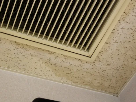 雨漏り